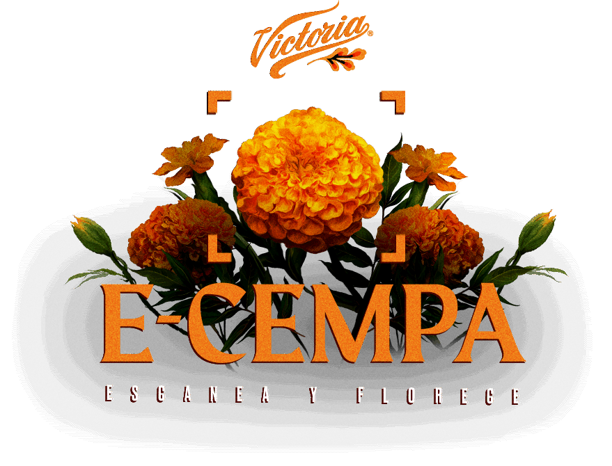 E-CEMPA, Escanea y Florece | Victoria Cempasúchil