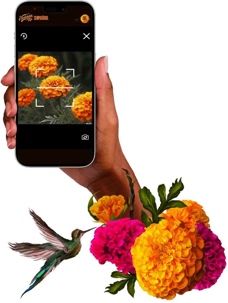 E-CEMPA, Escanea y Florece | Victoria Cempasúchil