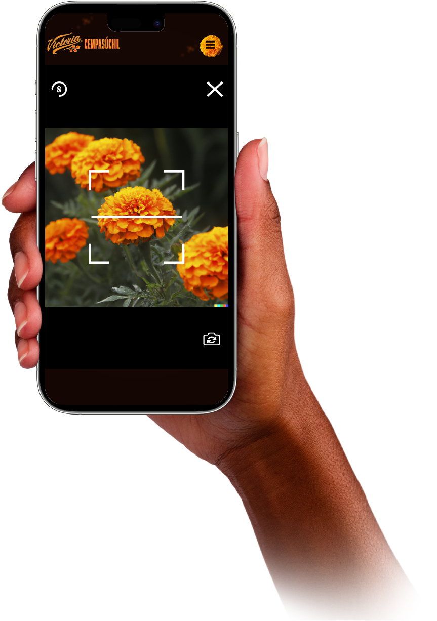 E-CEMPA, Escanea y Florece | Victoria Cempasúchil